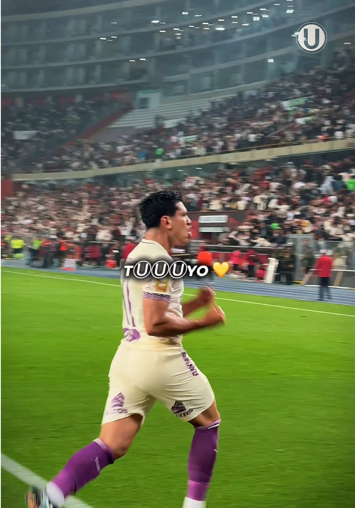 Eternamente enamorados 🥹💛 ¡Vamos por otra noche inolvidable, cremas! 🤩 #LaGarraDelÚnicoGrande #SportsOnTikTok #Futbol #Universitario #Peru 