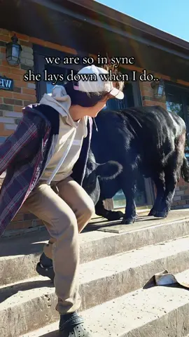 my twin flame ❤️ #cows #BestFriends #fyp 