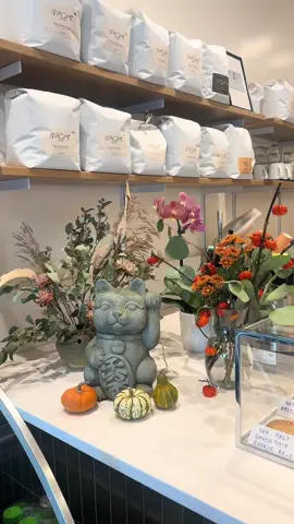 Love when I see a Kyoto cold brew on the menu 🤎🤌🏽 📍 lucky cat #coffeeshop #chicago #asianowned #luckycat 