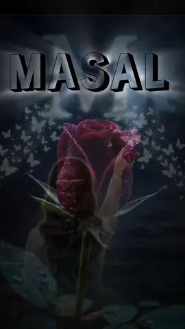 🇰 🇦 🇱 🇧 🇮 🇲 🌙🇸 🇪 🇳 🇮 🌺🌷🦋 🌼🤍🌼❣️❣️🥀🕊️