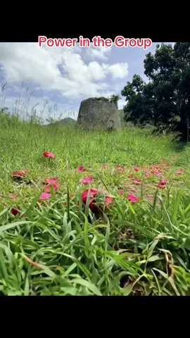 Power in the Group #group7 