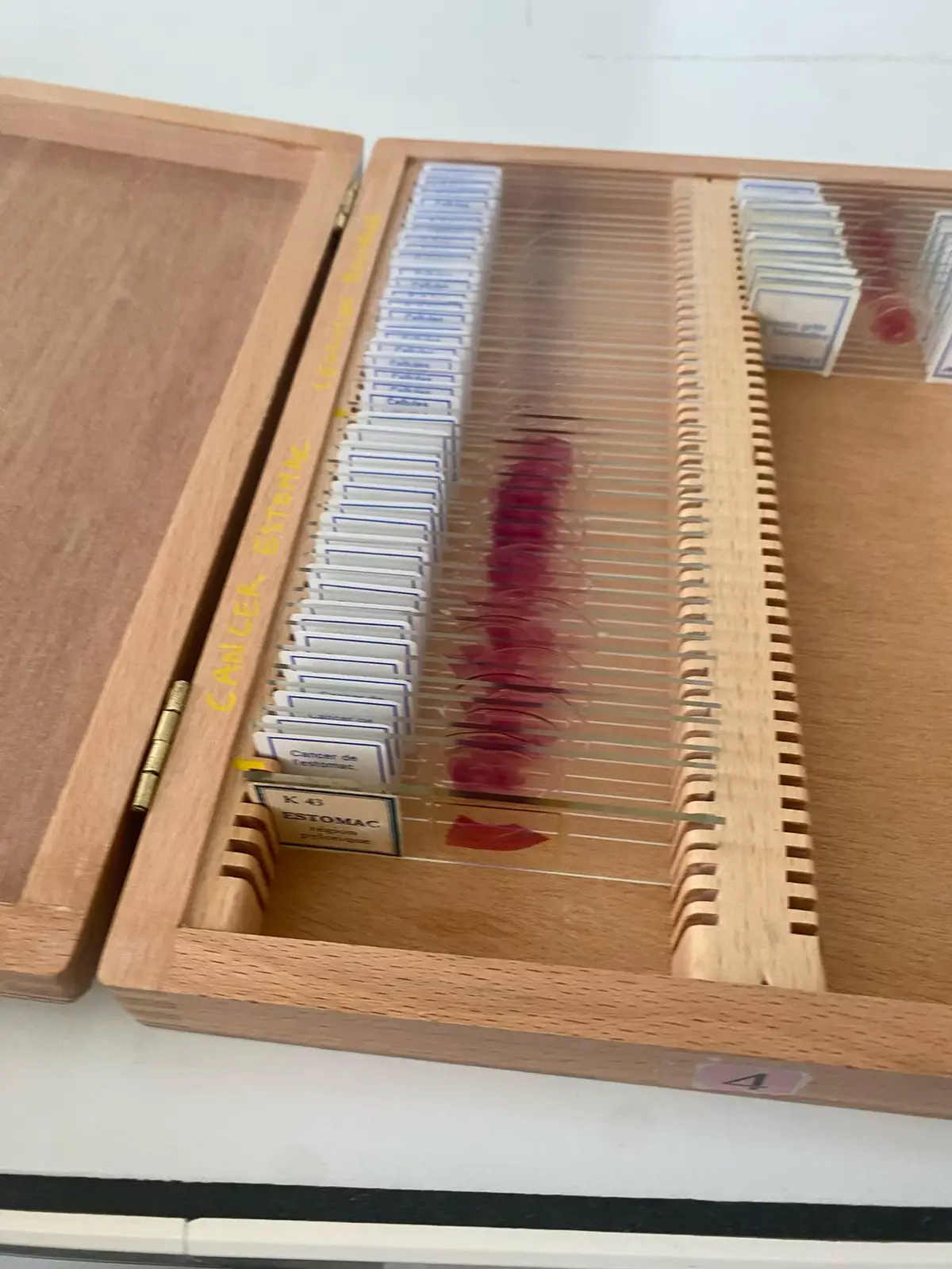 Dump 3 #gemmesmael #frutigermorjen #non 