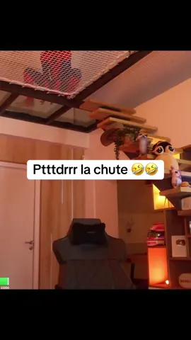 Spidercochon @Anyme023 #fyp #anyme #drole #humour 