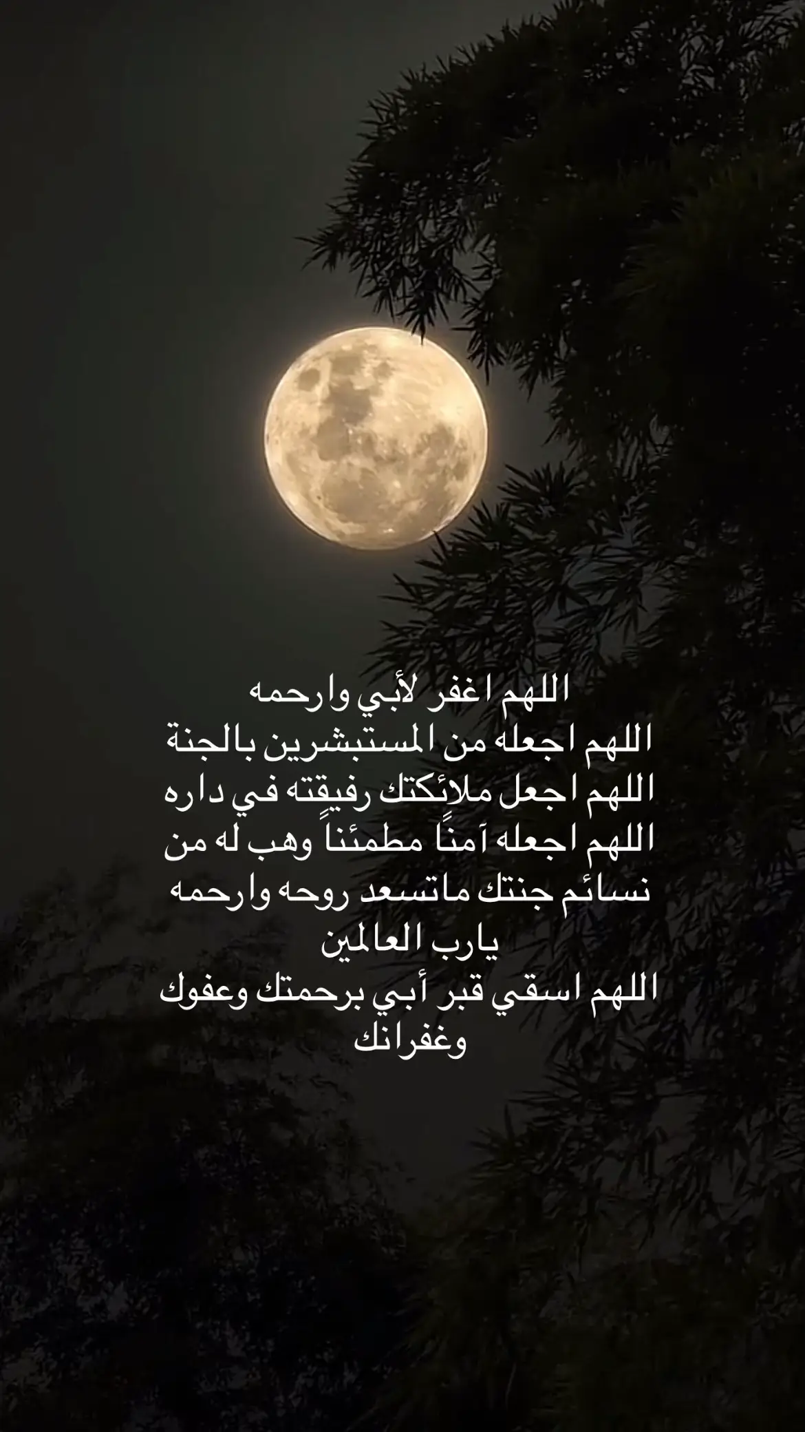 #اللهم_ارحم_ابي #اللهم_صل_وسلم_على_نبينا_محمد #يوم_الجمعه 