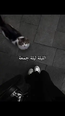 ليلة جمعة ❤️ #صلوا_على_رسول_الله #اكسبلور #explore #fyp #اكتب_شي_توجر_عليه 