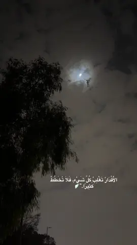 الْأَقْدَارُ تَغْلِبُ كُلَّ شَيْءٍ، فَلَا تُخَطِّطْ كَثِيرًا.