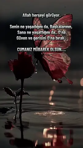 Allah herşeyi görür.. Hayırlı cumalar cumanız mübarek olsun  #dinivideolar #cuma##kalpkırıklığı #allah #tevekkülvakti 