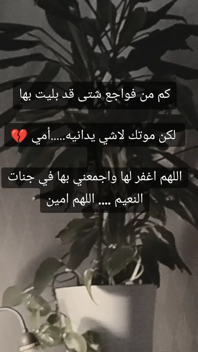 دعوه ل #امي_فقيدت_قلبي #فقيدتي #امي #ام #الام 