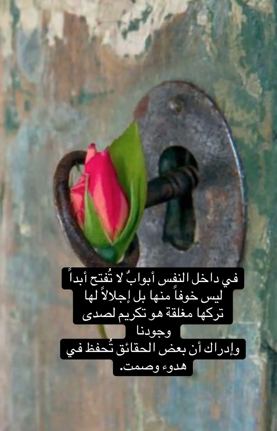 #foryoupage #fy #forpage #fyp #fyppppppppppppppppppppppp 