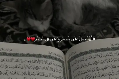 اللَّهُمَّ صَلِّ عَلَى مُحَمَّدٍ وَعَلَى آلِ مُحَمَّدٍ،♥️♥️،، #اللهم_صل_وسلم_وبارك_على_نبينا_محمد #اللهم_صل_وسلم_وبارك_على_نبينا_محمد #explor #forupage #1millionauditions 