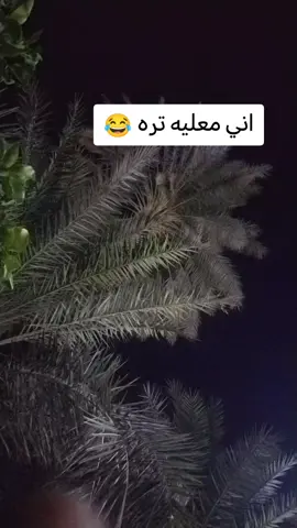 #بغداد_بصرة_موصل_الكويت_الخليج_دبي_ 