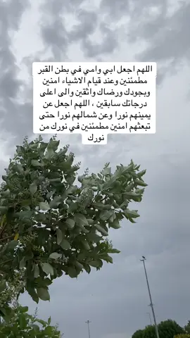 #اللهم_ارحم_امي_وابي #اللهم_ارحم_موتانا_وموتى_جميع_المسلمين #اكسبلور #foryou 