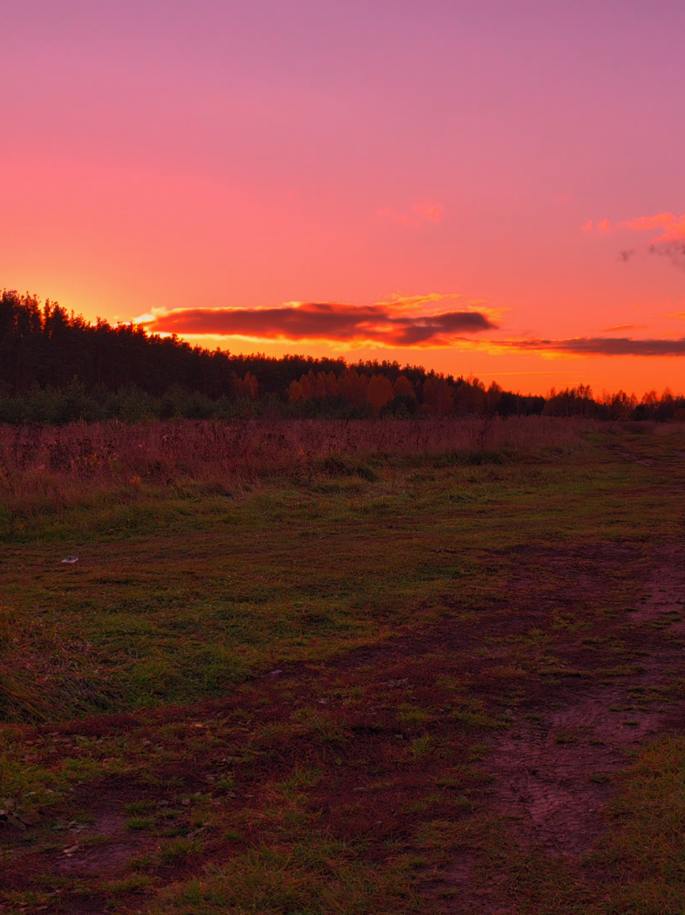 #спокойствие #вайб #природа #закат #russianvibe 