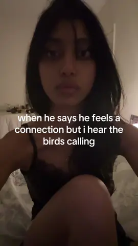 #thebirds 