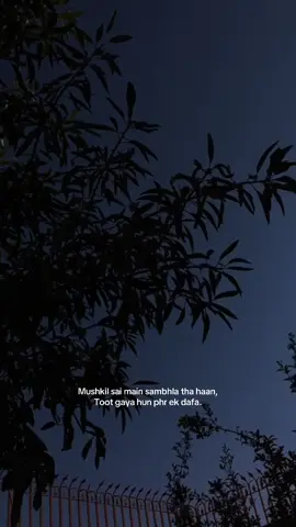 Pal bar bhi na mila woh jo mujhe umer bhar chahiye tha :)#fシyp 