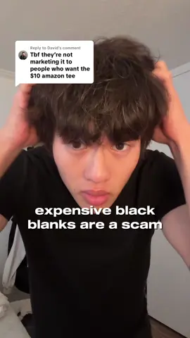 Replying to @David stop overpaying for blank tees