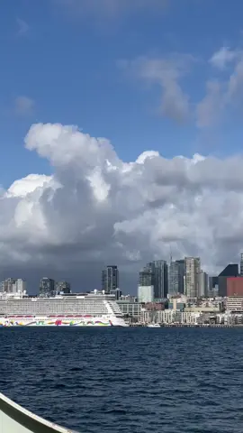 Melaii made it to Seattle 🤣