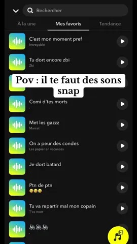 Les deux meilleurs 🤣🤣 #sons #humour #drole #snap #dormir