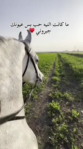 ،