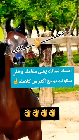 امسك لسانك يعلى مقامك وخلي سكوتك يوجع أكتر من كلامك🤞✨##💥👌👌👌👌👌👌👌👌👌👌👌 #عبارت_الفخامه🖤🥀 #فخـــــــــــــــــــــاااامة #🐎🐎🐎 