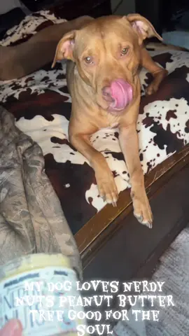 #nerdynuts @Nerdy Nuts Shop 