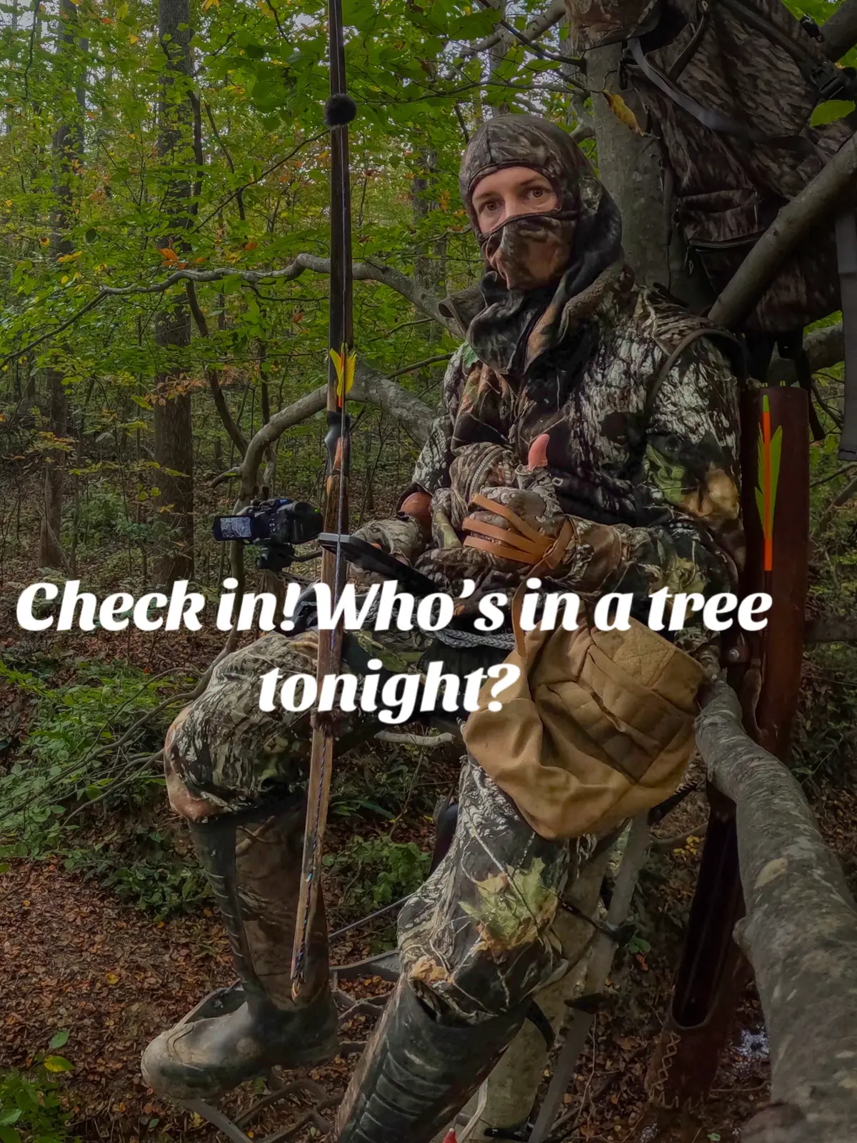 Who else is in a tree tonight? #Bowhunting 