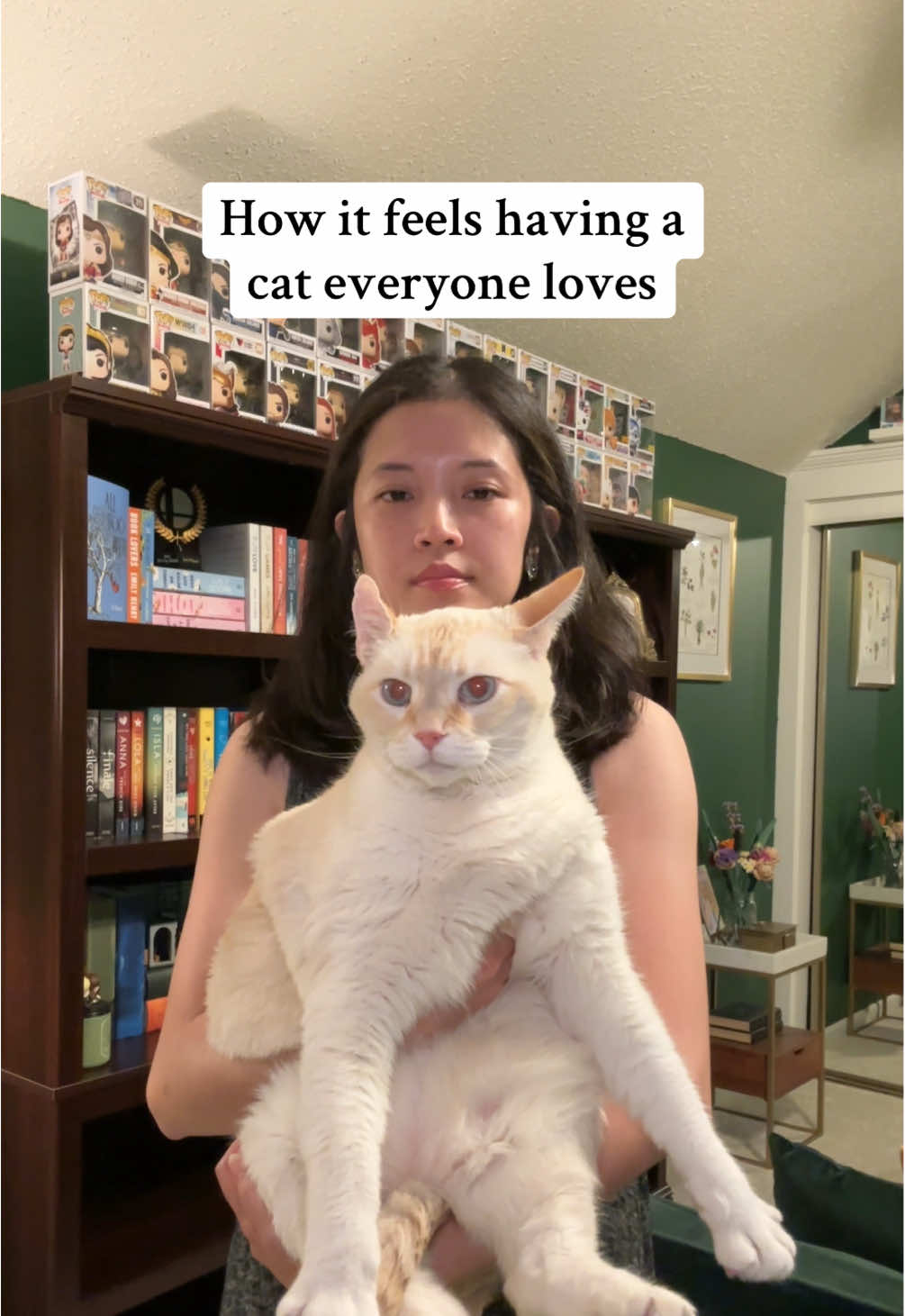 Hector loves you all btw #catsoftiktok #catlover #cattok #fyp #foryou 