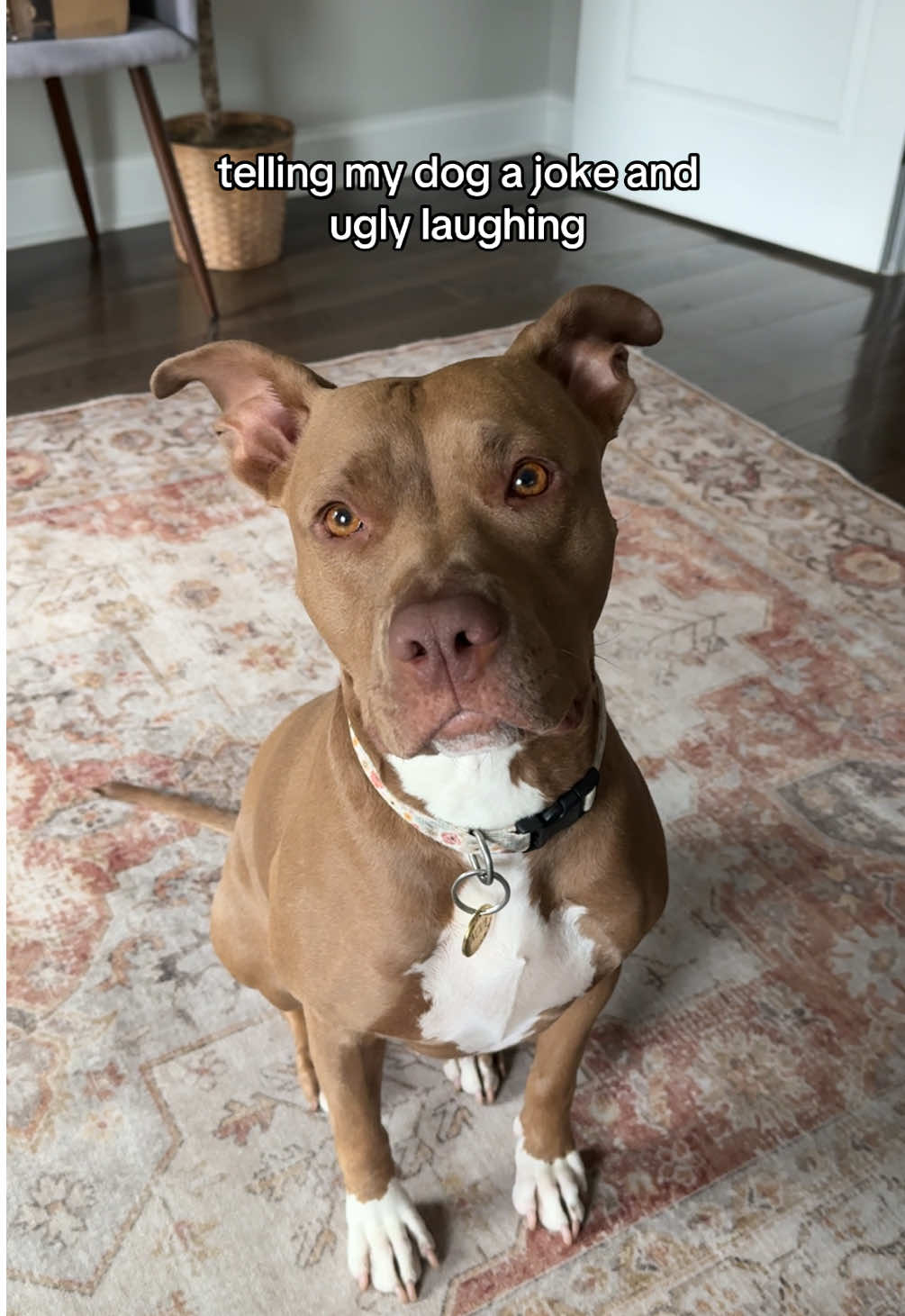 she almost missed the whole joke! #uglylaugh #laughtrend 