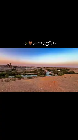 يا ضلع لا تنشلع 🤎✨…#تصويري 