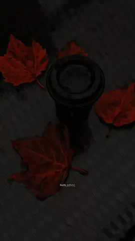 Thank you so much My Loyal Followers 10k Complete 🧚❤️ .. .. .. ..  .. .. .. ..  .. .. .. ..  .. .. .. ..  .. .. .. ..  .. .. .. ..  .. .. .. ..  .. .. .. ..  .. .. .. ..  .. .. .. ..  .. .. .. ..  .. .. .. ..  .. .. .. ..  .. .. .. ..  #fyp #lyrics #foryou #fairy_esticc_ #songlyrics 