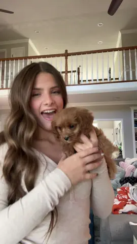 Senior night w Winston 🥰