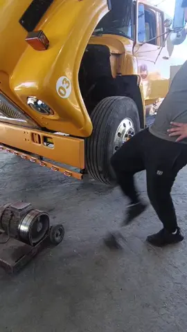 #becerros🐂  #balanceo  #dina 