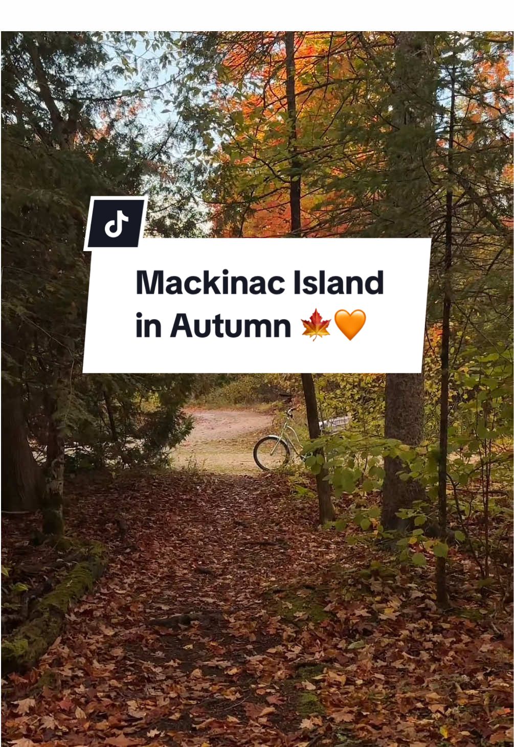 Through the leaves breathes a wind that rests on Mackinac ~ 🍁 #mackinacisland #fallseason #puremichigan 