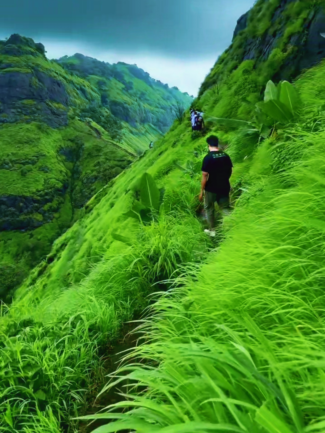 ارح مسامعك في يوم الجمعة  بصوت القرآن الكريم 📖📿 إِنَّمَا نُطۡعِمُكُمۡ لِوَجۡهِ ٱللَّهِ لَا نُرِيدُ مِنكُمۡ جَزَآءٗ وَلَا شُكُورًا  . . .  #القران_الكريم_راحه_نفسية😍🕋  #قران_كريم #انما_نطعمكم_لوجه_الله  #طور_عراقي #viralvideo 