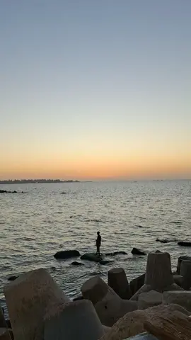 #alexandria 