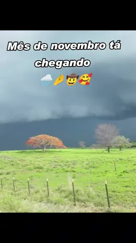 Novembro tá chegando 🌧️🤌🤠  #viraltiktok #nordeste #chuva #fyp #novembro 