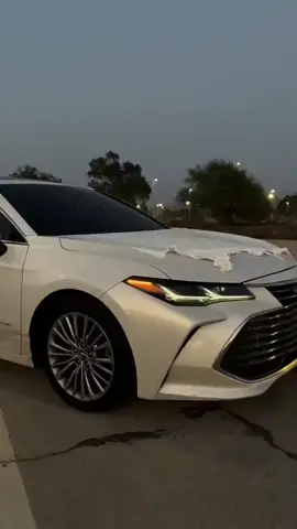 #rasty_lak #hawler_slemani_dhok_karkuk_hallabja #fyyyyyyyyyyyyyyyy #foryoupage #gardiiii🖤🐆 