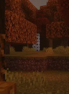 #рекомендации #достижения #школа #1четверть 