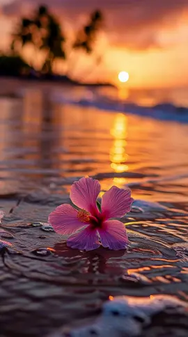 Resting by the Tide #Background #LiveWallpaper #Aesthetic #Nostalgia #freebieclip
