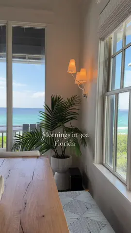 I love them so so much #florida #30a #aesthetic #beach #Vlog  
