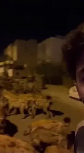 #gemini #prompt #اكسبلور 