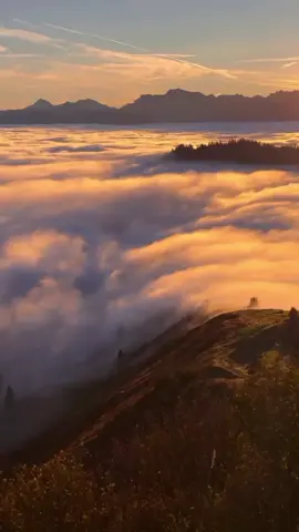 #سبحان_الله_وبحمده_سبحان_الله_العظيم #فاطمة_الحريري 