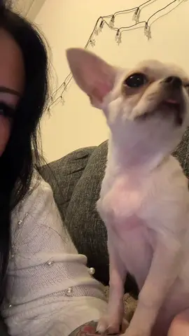 #tiktoklive #livehighlights