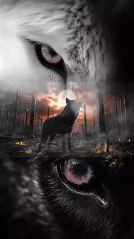 #LIVEIncentiveProgram #LIVEWithLessFollowers #PaidPartnership  #elhawary 