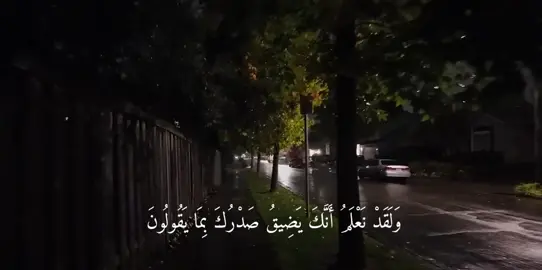 (وَلَقَدْ نَعْلَمُ أَنَّكَ يَضِيقُ صَدْرُكَ بِمَا يَقُولُونَ) #قرآن #سورة_الحجر#القارئ_محمود_جمال#قرآن #quran 