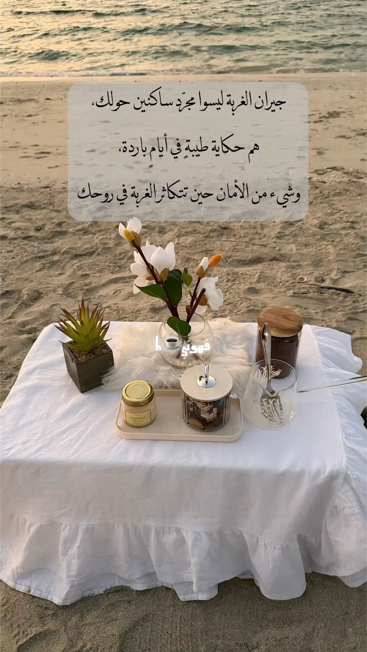 #جيران #الغربة #كلام_من_القلب #foryoupage #fypシ゚viral🖤tiktok 