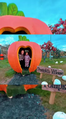 @marshfarm_ Great family day 🎃 #pumpkinpatch #october #autumn #marshfarm #pumpkinvillage 