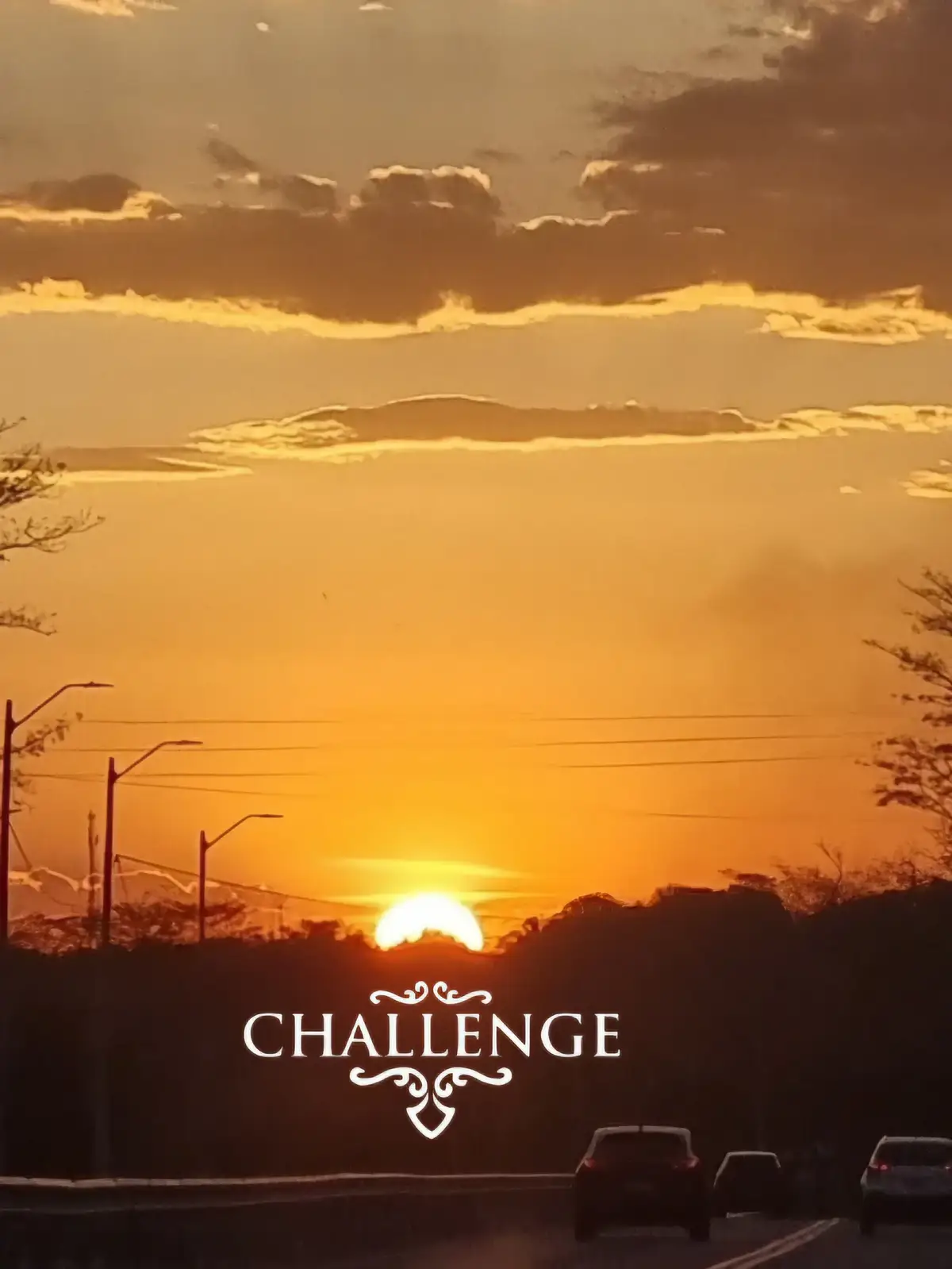 The sun?!?! #hollowknight #hollowknightmobile #radiance  #holllowknight #god 