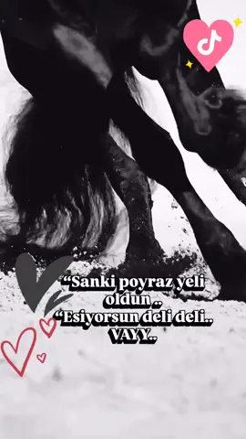 sanki poyraz yeli gibi oldum esiyorsun deli deli vayy..🌷🩷🌷