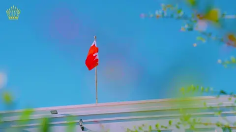 ** جلالة الملك المعظم يُشرّف حفل زواج الشيخ خليفة بن محمد بن خليفة بن أحمد آل خليفة حفيد صاحب المعالي القائد العام لقوة دفاع البحرين.⁩